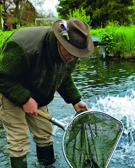 Nikolai Birnbaum steht in einem Gewässer und hält einen Kescher mit einem Fisch darin.