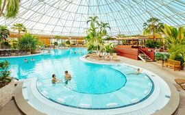 Ein Pool in der Therme Erding mit Palmen, Badegästen und offenem Glasdach. 